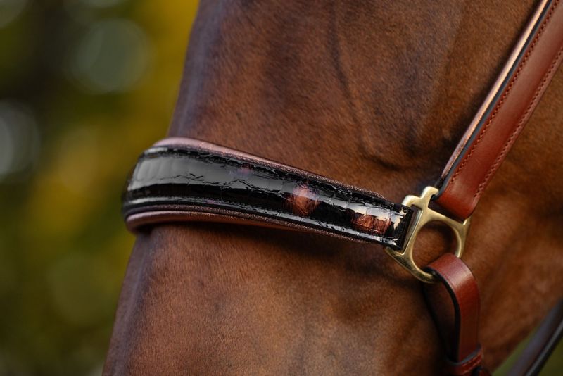 Halfter Boston (Limited Editions), Havanna Halfter Boston (Limited Editions), Havanna