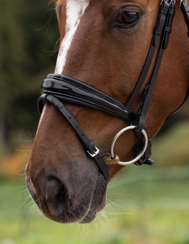 Noseband London