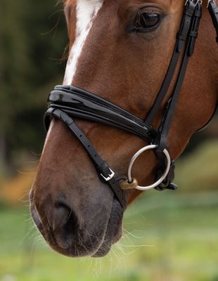 Reithalfter London Reithalfter London