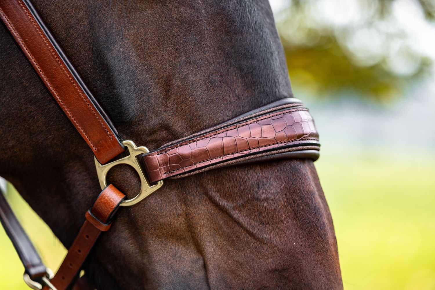 Halfter Boston (Limited Editions), Braun Halfter Boston (Limited Editions), Braun