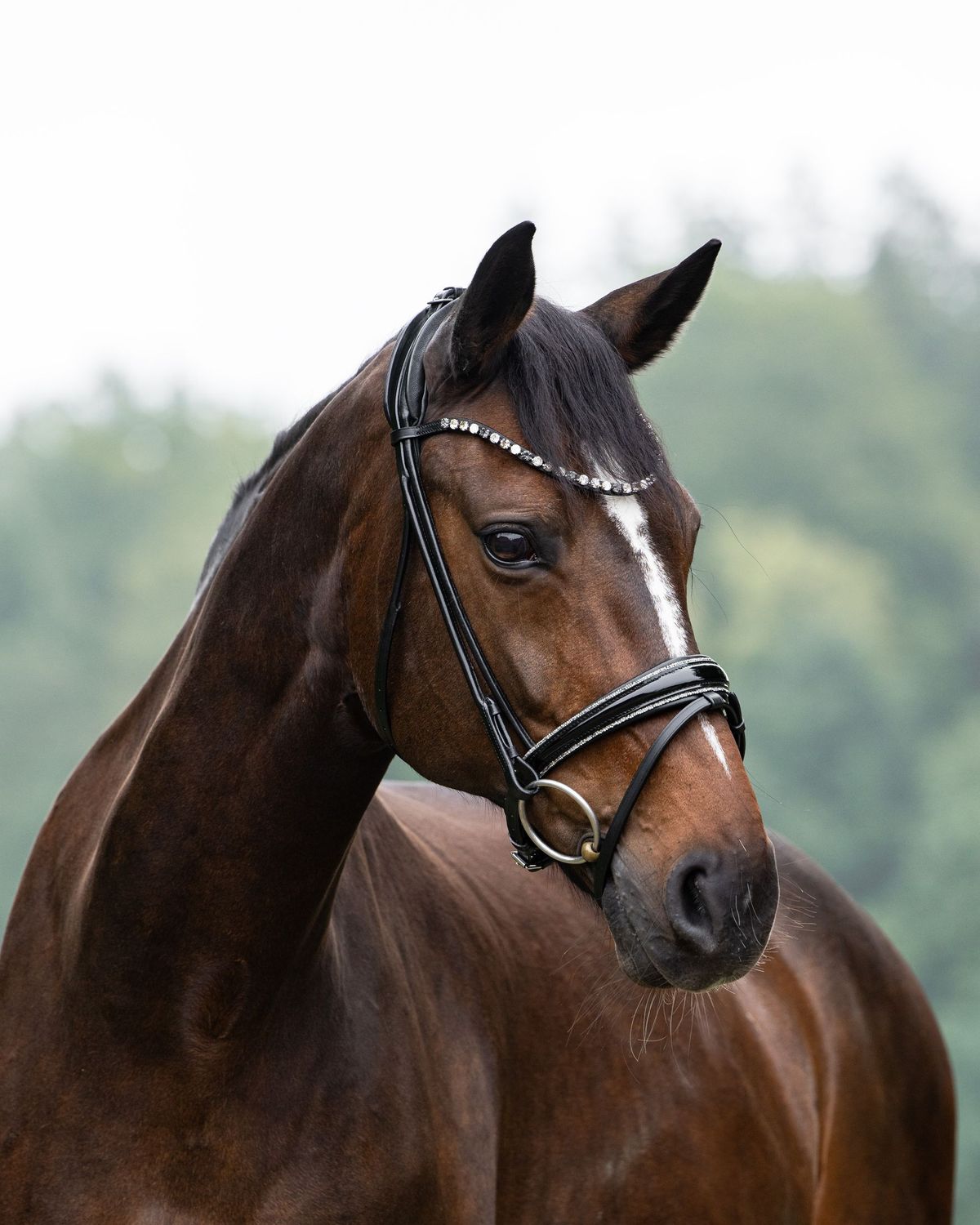 Trense Valencia Slim Trense Valencia Slim