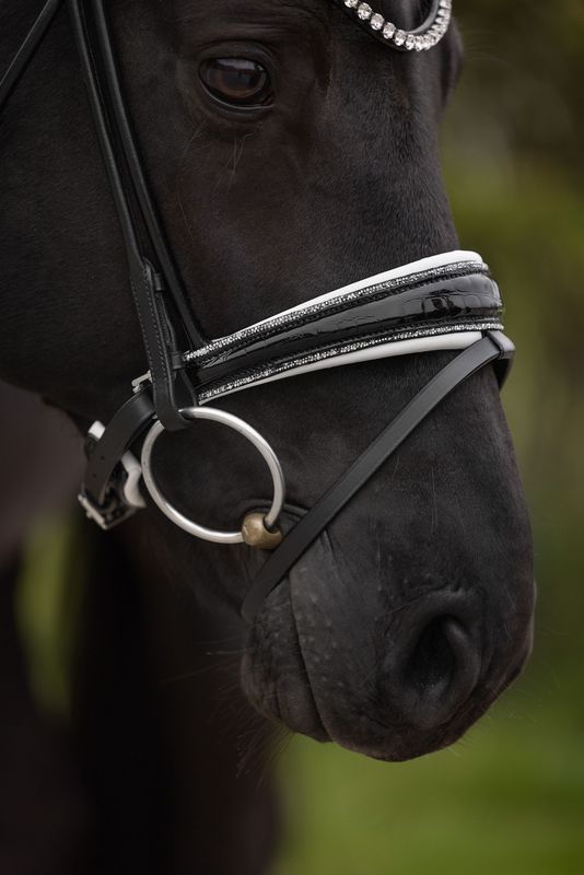 Noseband Miami