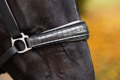 Halfter Boston (Limited Editions), Schwarz