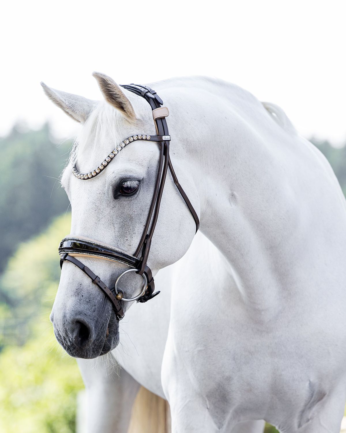 Single Bridle (Special order) Single Bridle (Special order)