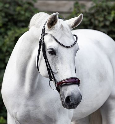 Hanoverian Bridle (Special order) Hanoverian Bridle (Special order)