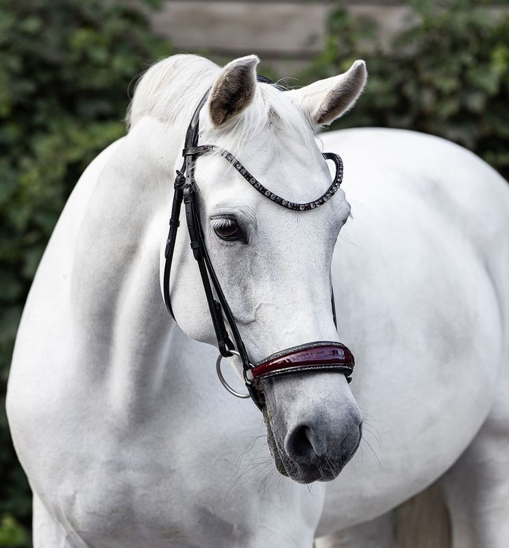 Hanoverian Bridle (Special order) Hanoverian Bridle (Special order)
