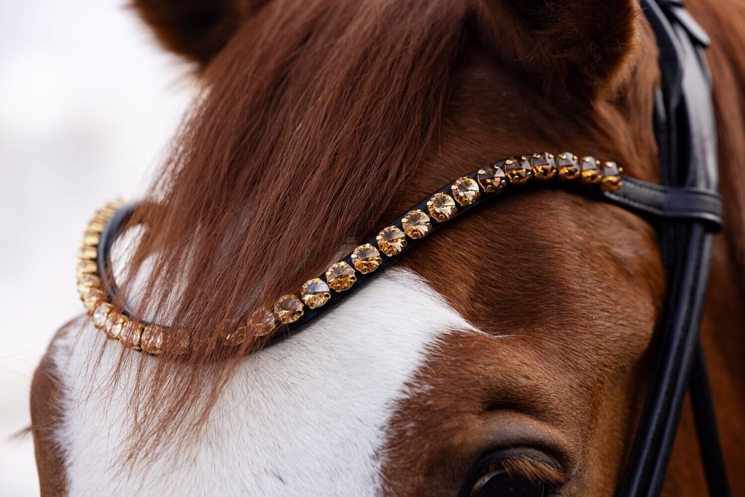Rivoli browband