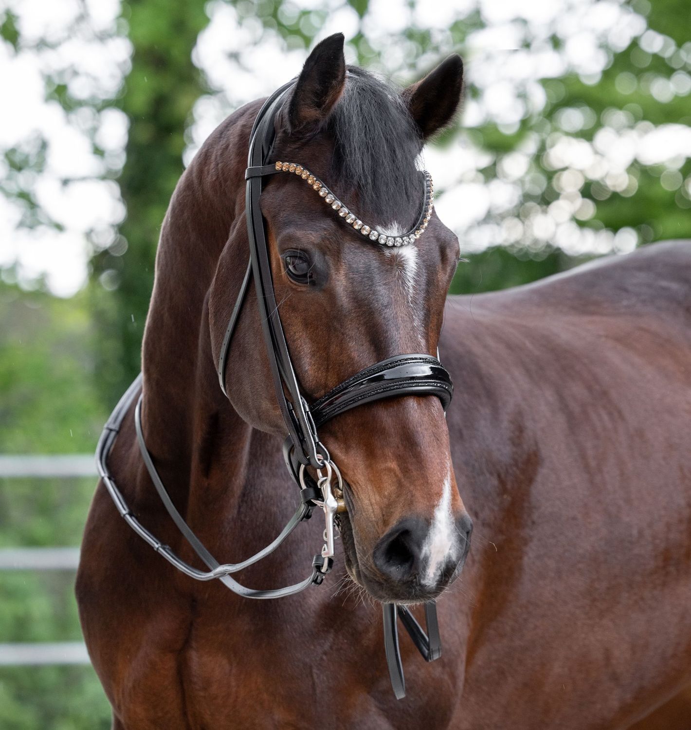 Double Bridle Paris Double Bridle Paris