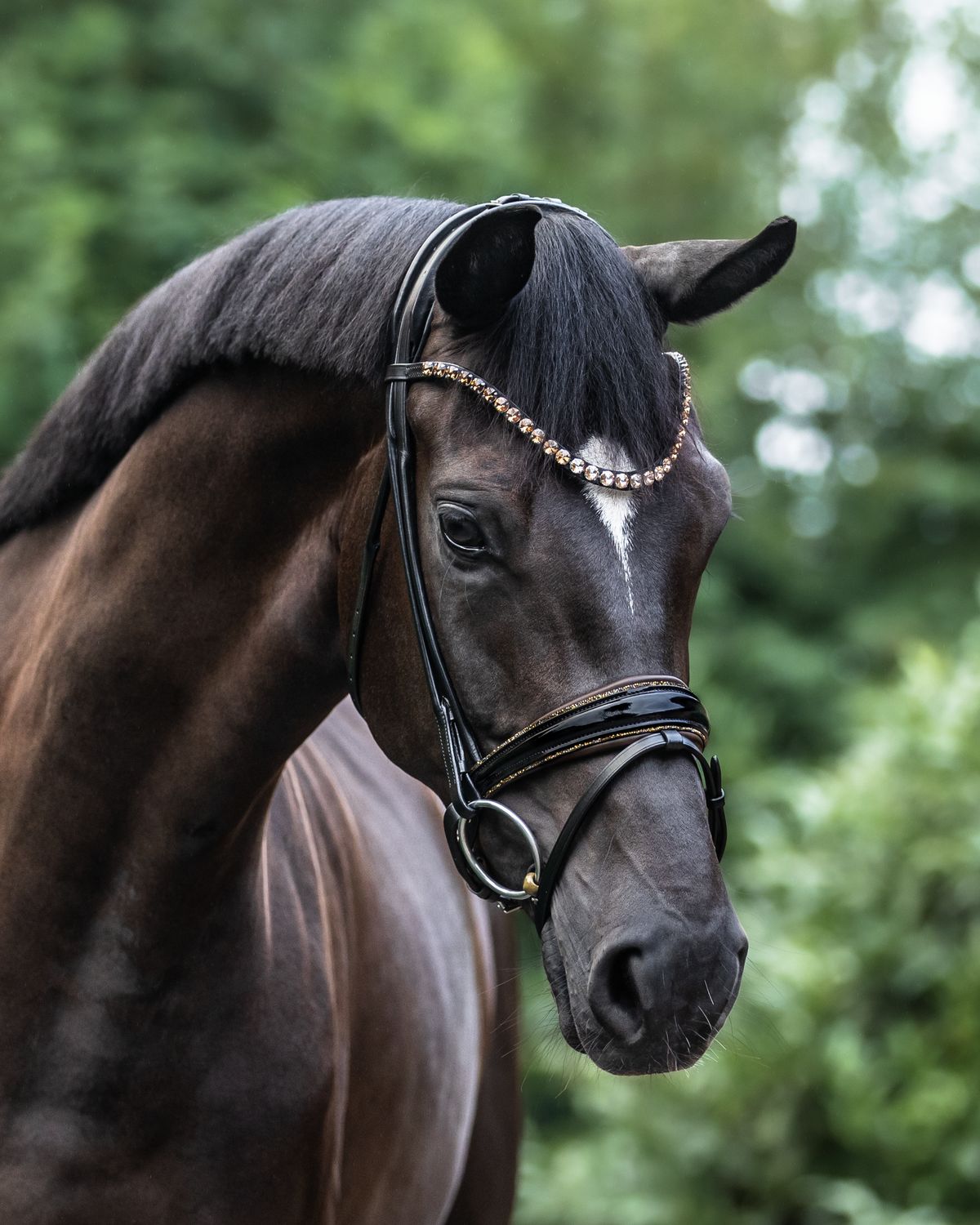 Single Bridle New York, Brown Single Bridle New York, Brown