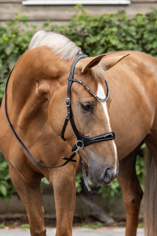 Lyon Bridle (Special order) Lyon Bridle (Special order)