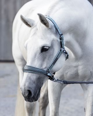 Leather halter (Special order), Turquoise