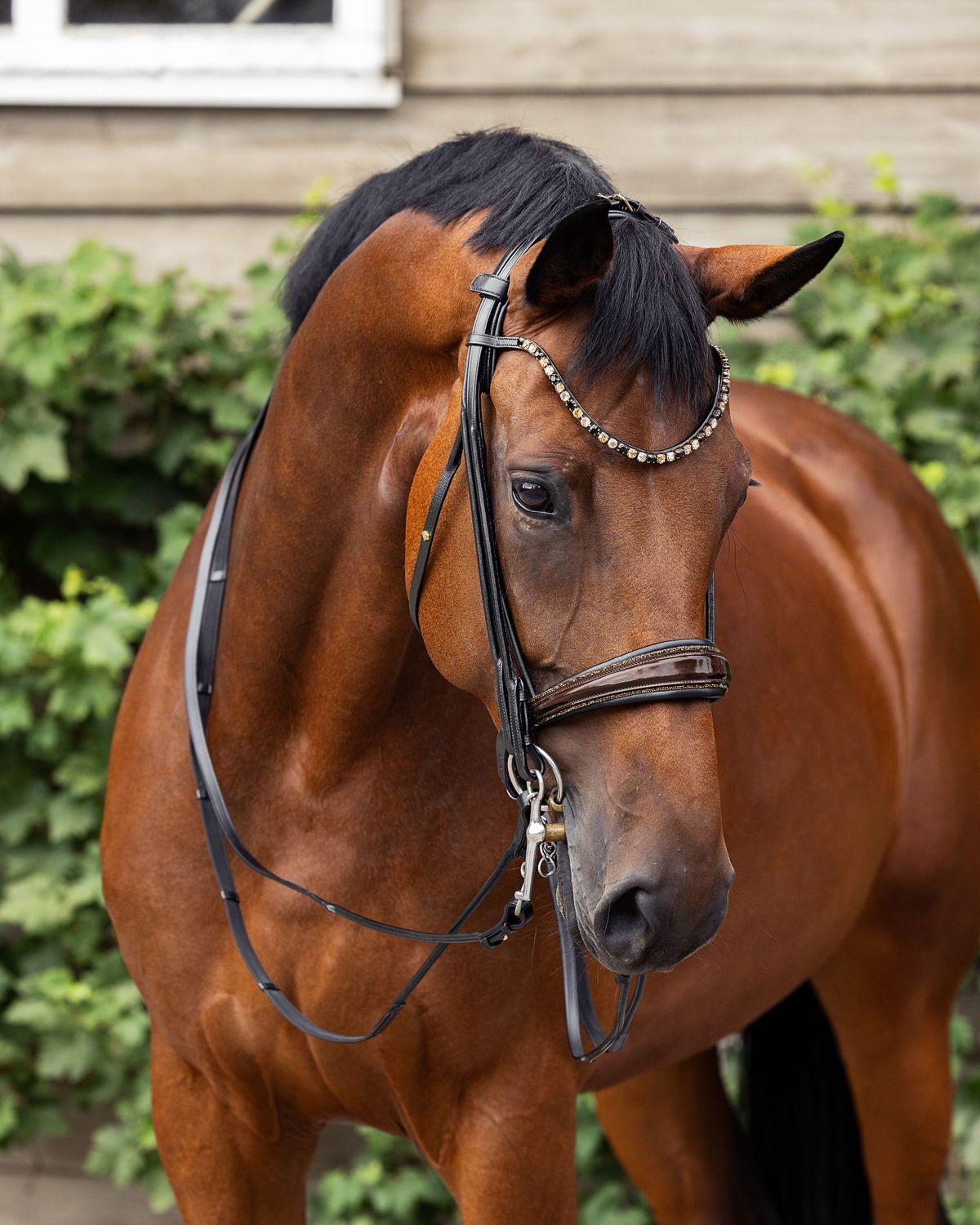 Special order double bridle 900 Special order double bridle 900