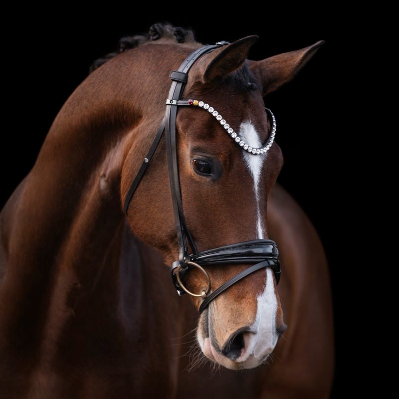 Single Bridle Munich DSP Single Bridle Munich DSP