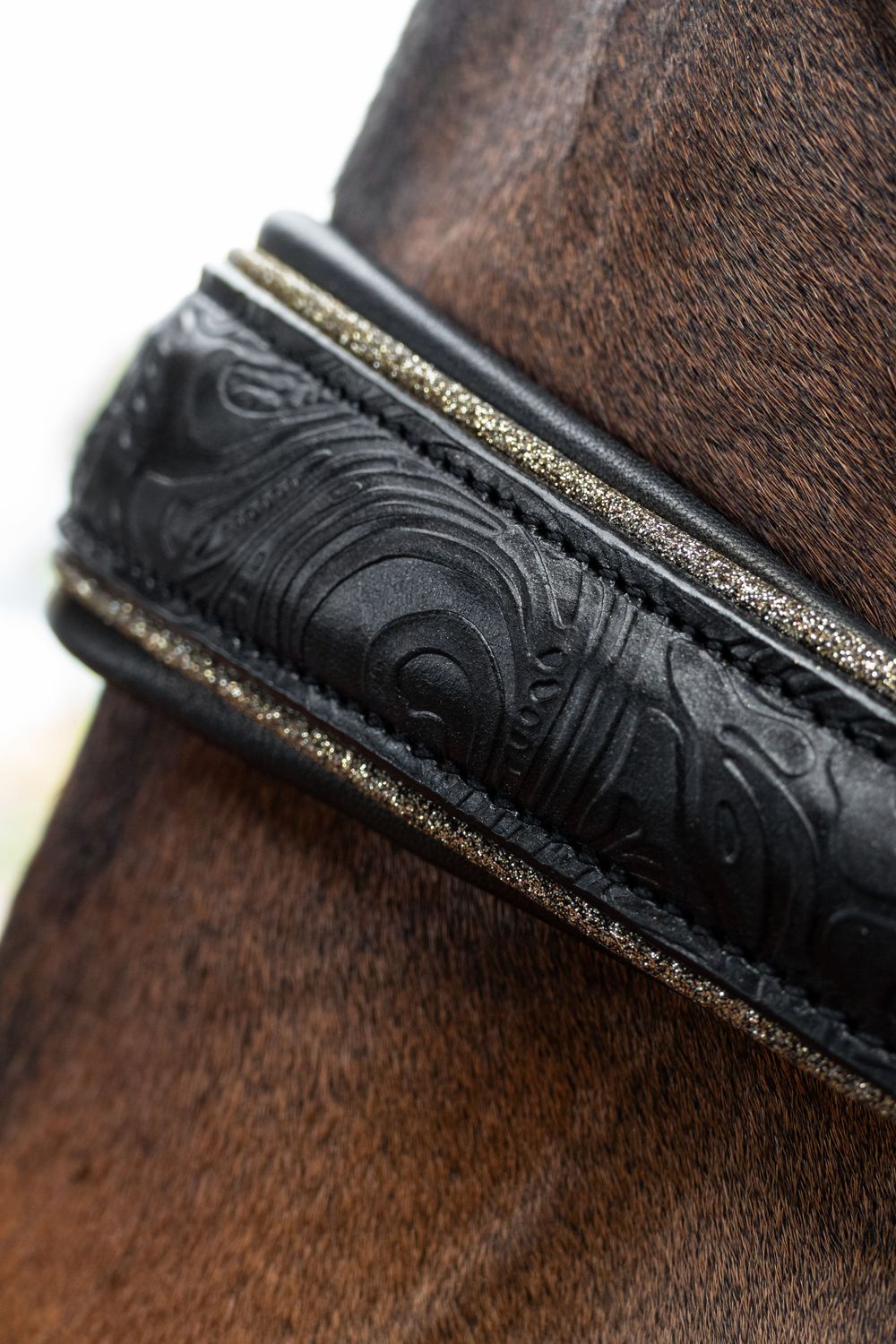 Halter Bari, schwarz (Limited Edition)