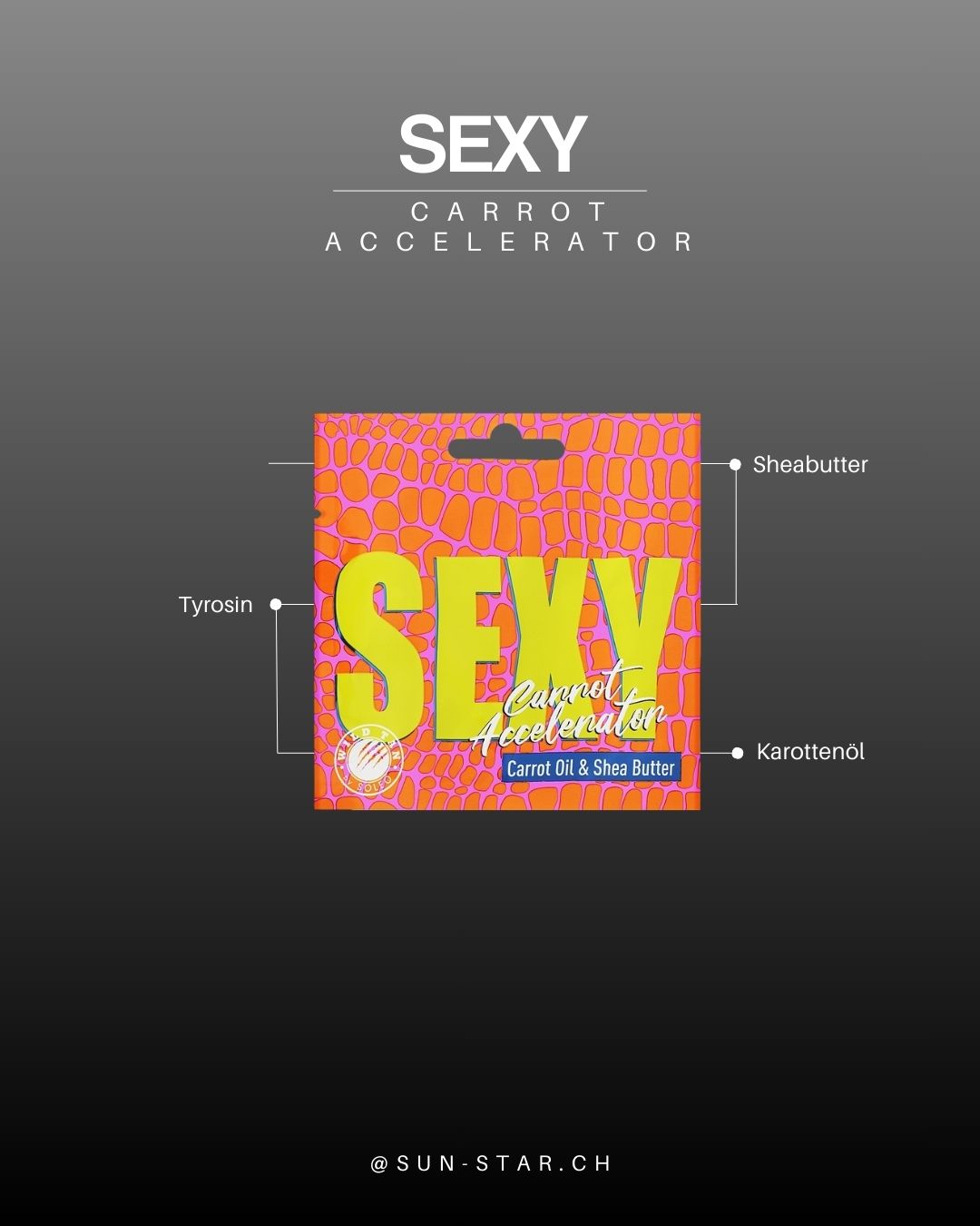 SEXY -  Beschleuniger