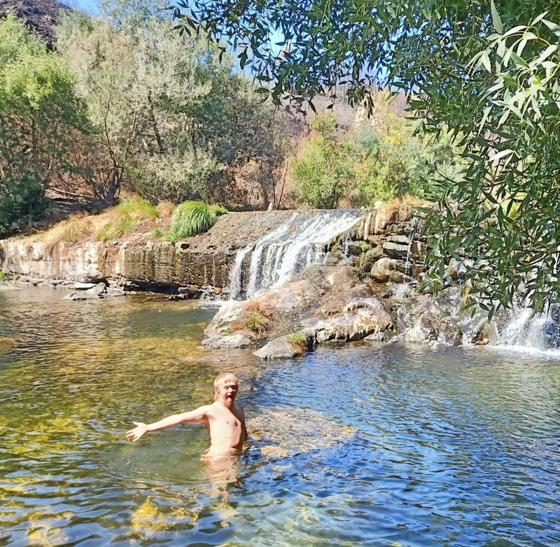 Crowdfunding Robins Nest