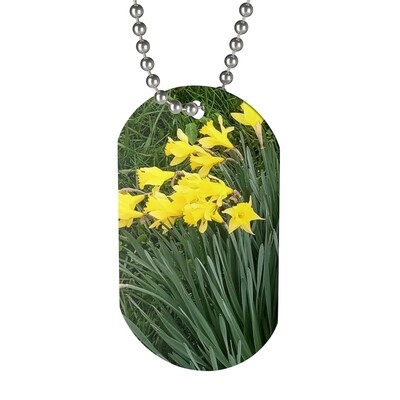 Dog tag