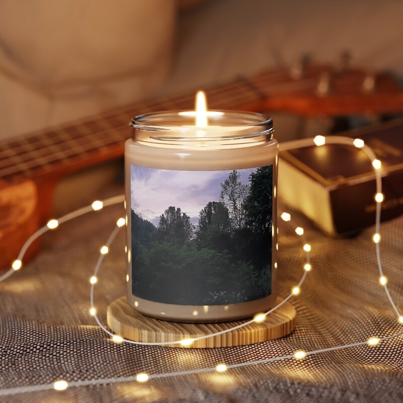 Scented Candle, 9oz Vanilla scented