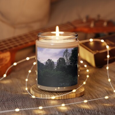 Scented Candle, 9oz Vanilla scented