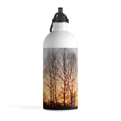 Stainless Steel Water Bottle