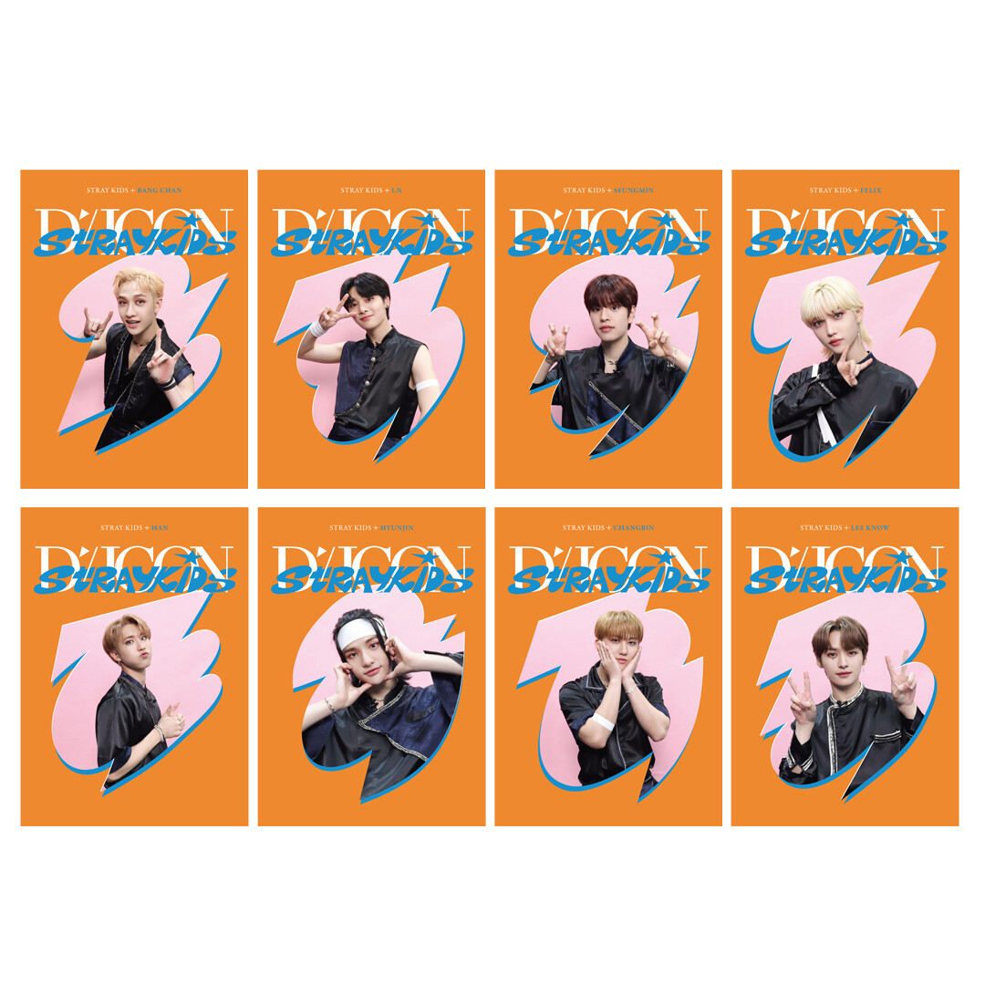 Dicon DFesta mini edition - STRAY KIDS