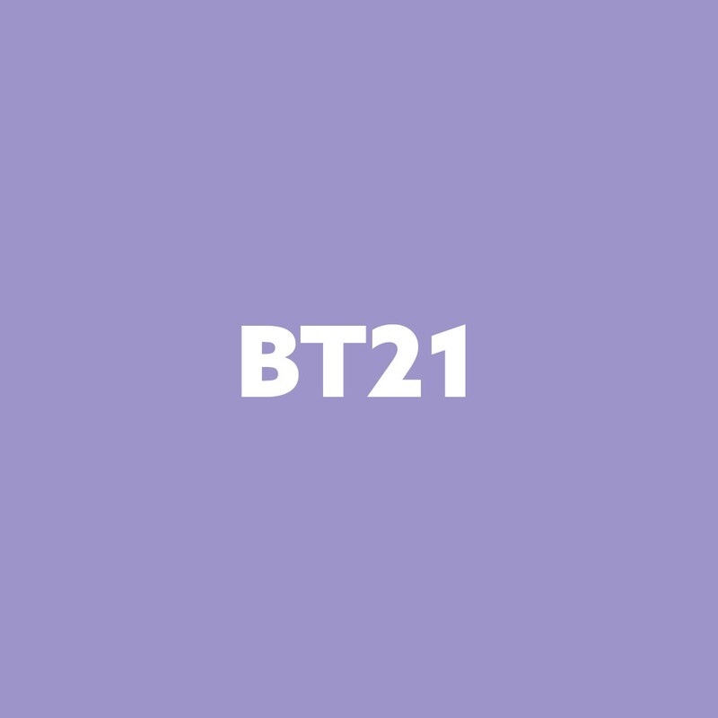 [CLEARANCE SALE] BT21 Collection