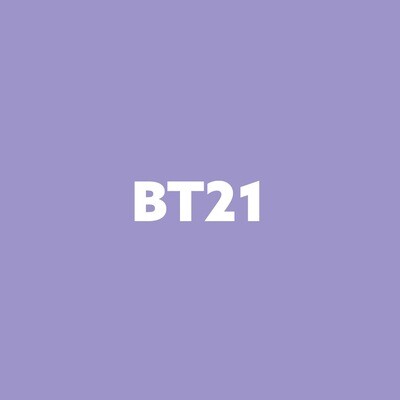 [CLEARANCE SALE] BT21 Collection