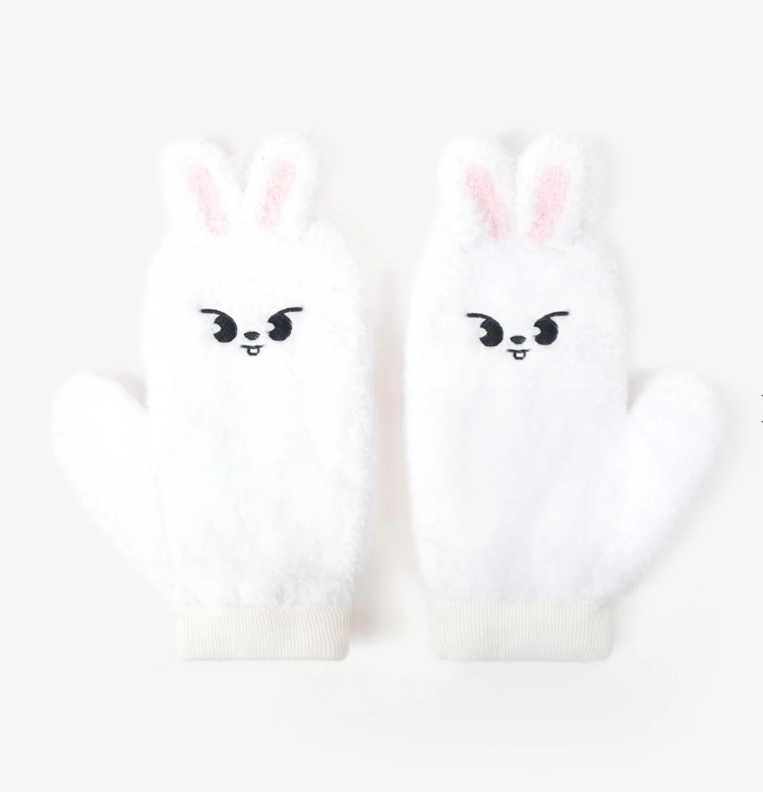 GLOVE / Stray Kids World Tour <dominATE JAPAN>, Choose Item: Leebit