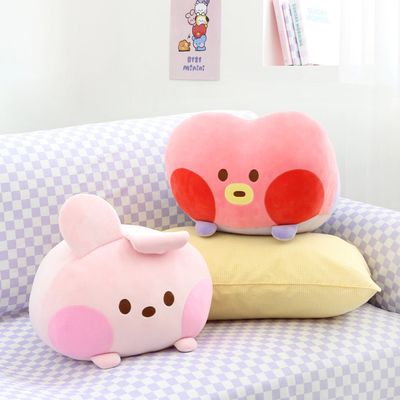 BT21 Round Cushion