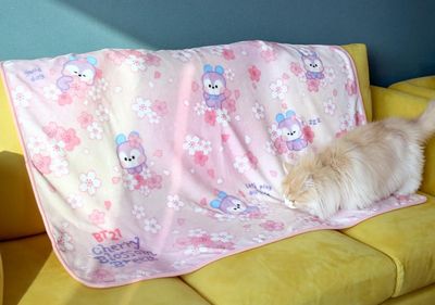 BT21 Blanket [CHERRY BLOSSOM] 2025