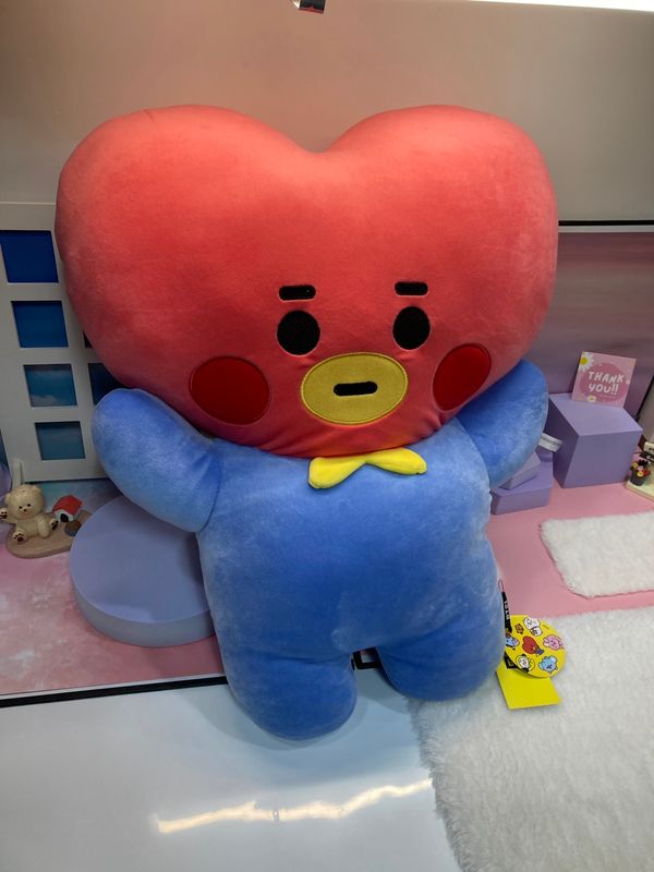 BT21 Universtar Hug Me Cushion
