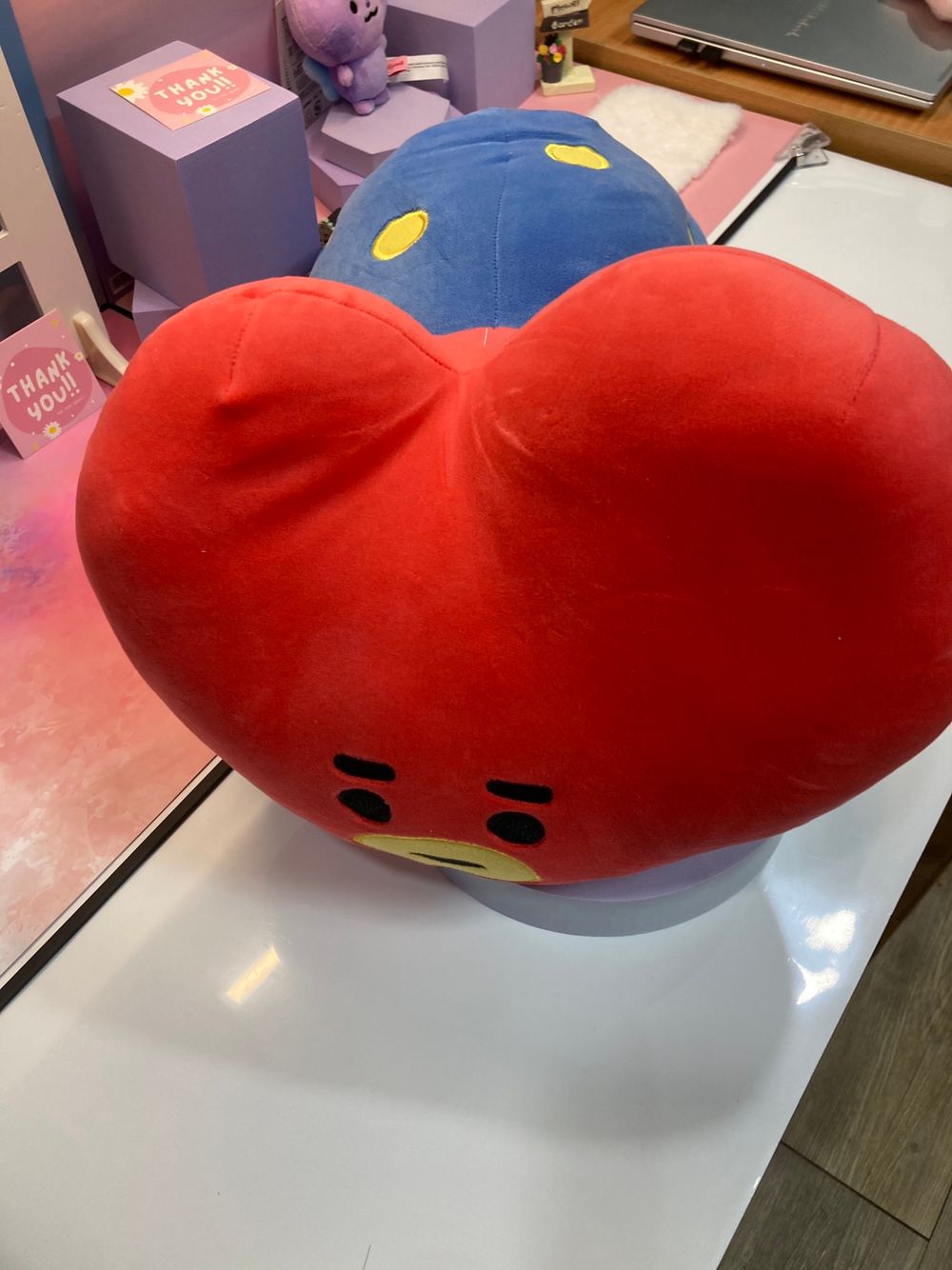 BT21 Pillow Cushion