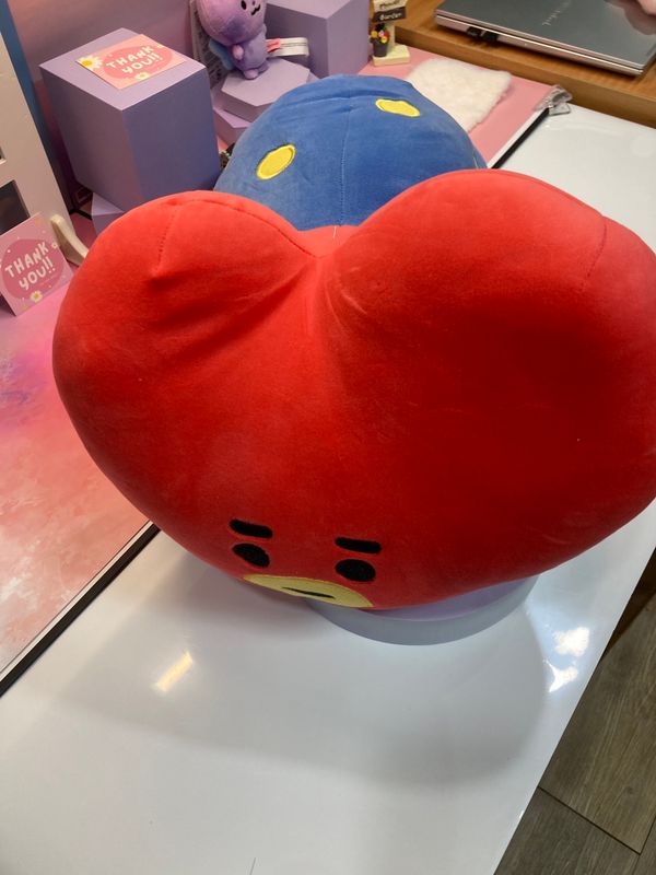 BT21 Pillow Cushion