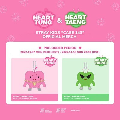 Stray Kids (스트레이 키즈) "CASE 143" HEART TUNG / HEART TAENG KEYRING OFFICIAL MERCH #straykids