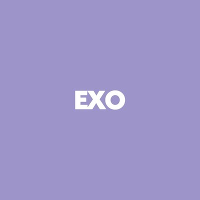[CLEARANCE SALE] EXO
