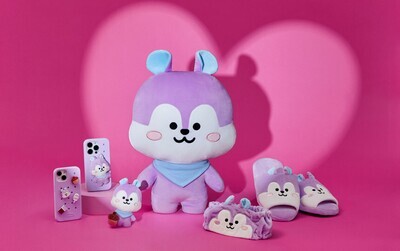 BT21 Line Friends Inside MANG
