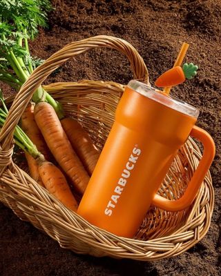 Starbucks Farmer's Market - Carrot Tumbler 591ml