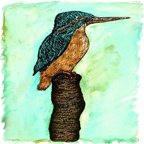 Kingfisher FINE ART PRINT