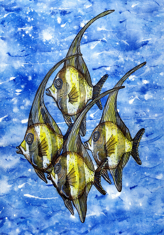 Moorish Idols ORIGINAL PAINTING