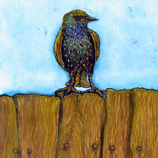 On the Fence FINE ART PRINT