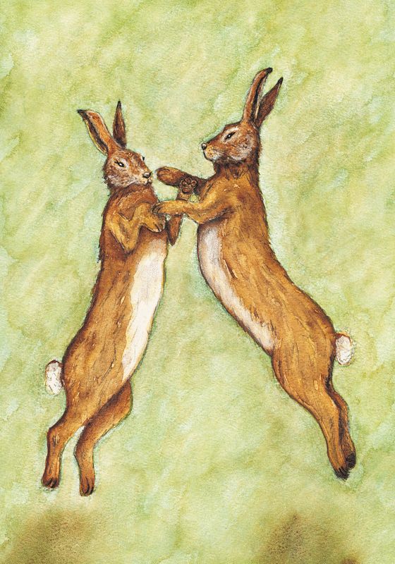 Boxing Hares FINE ART PRINT