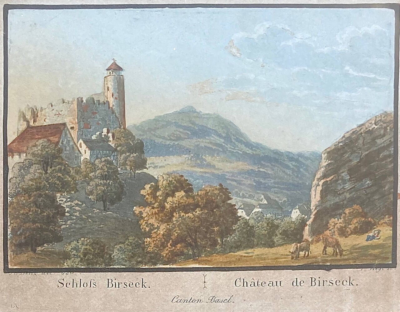 Basel Schloss Birseck