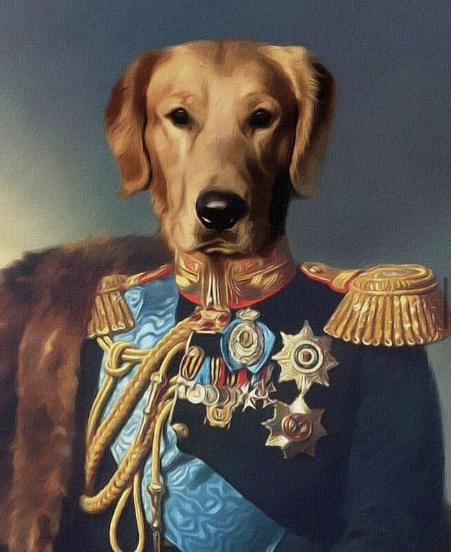 Portrét domácího mazlíčka v podobě Generála