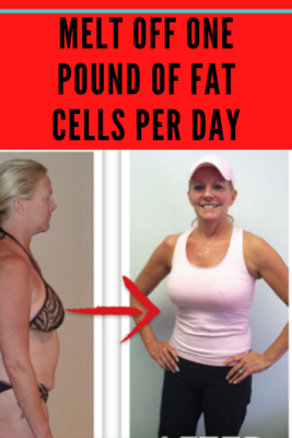 Lean Belly 3x