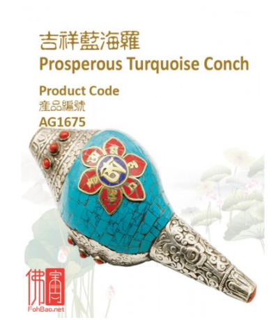 吉祥蓝海罗 Prosperous Turquoise Conch