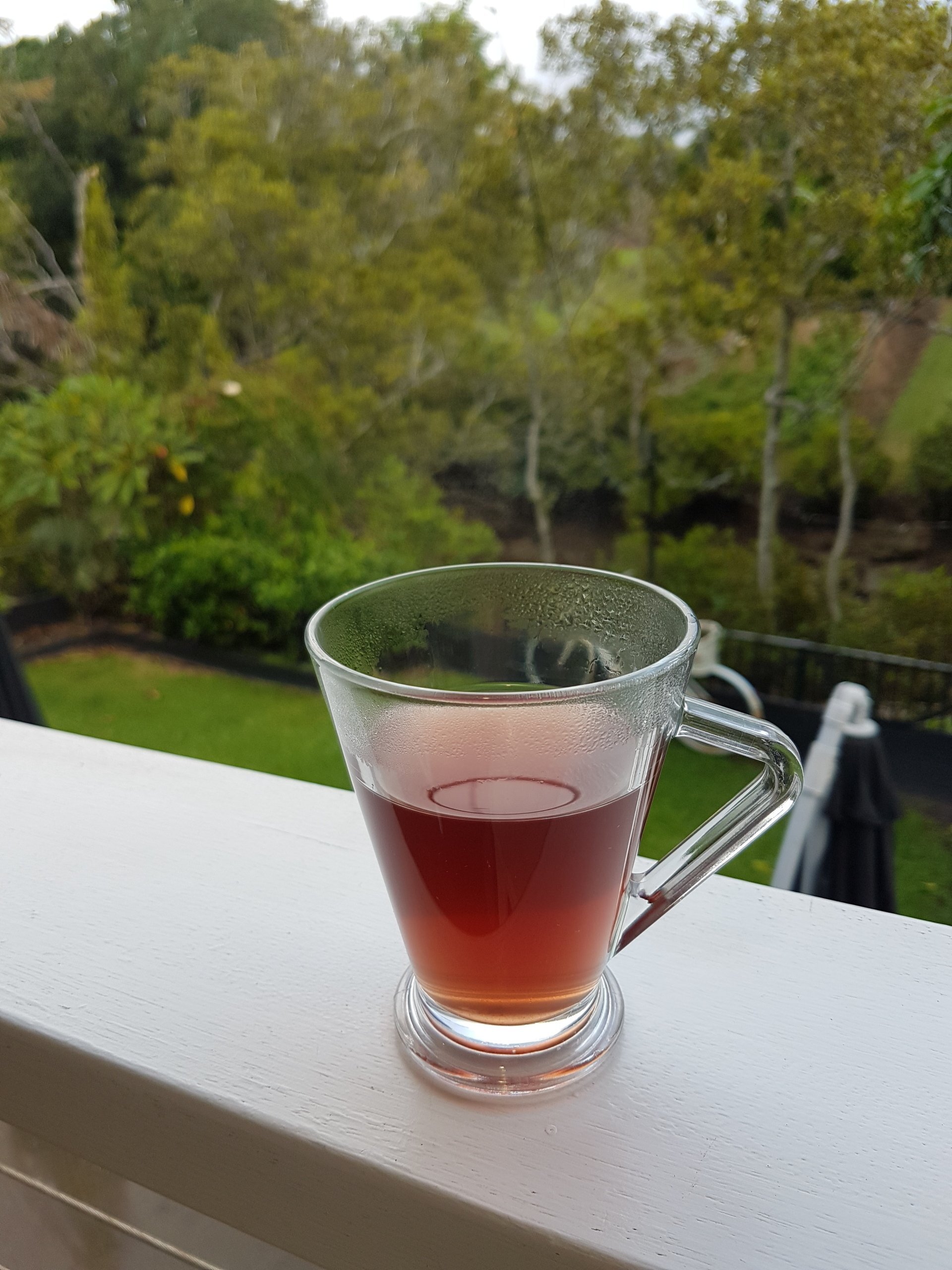 Immunity Oxymel - 100ml