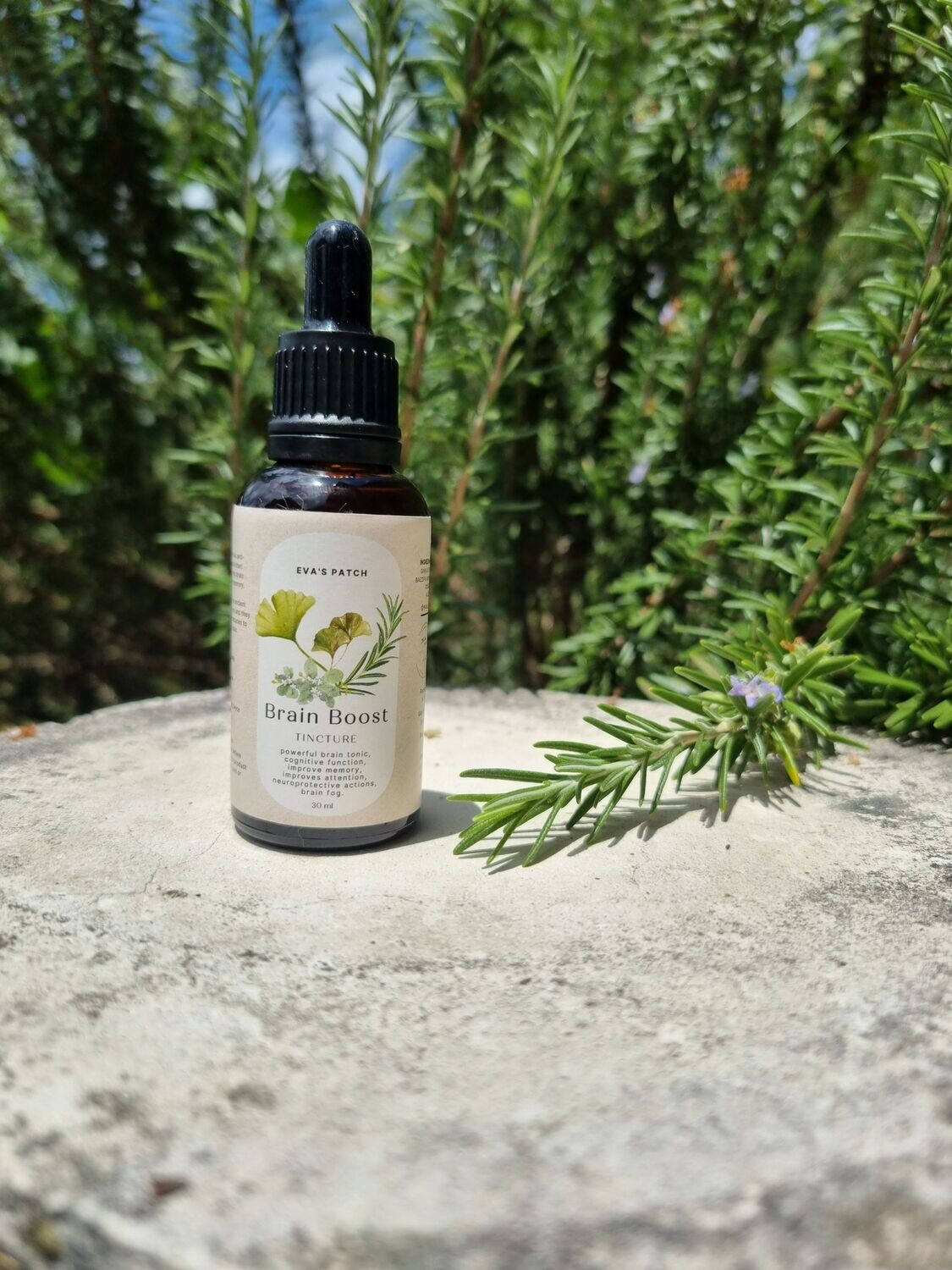 Brain Boost Tincture