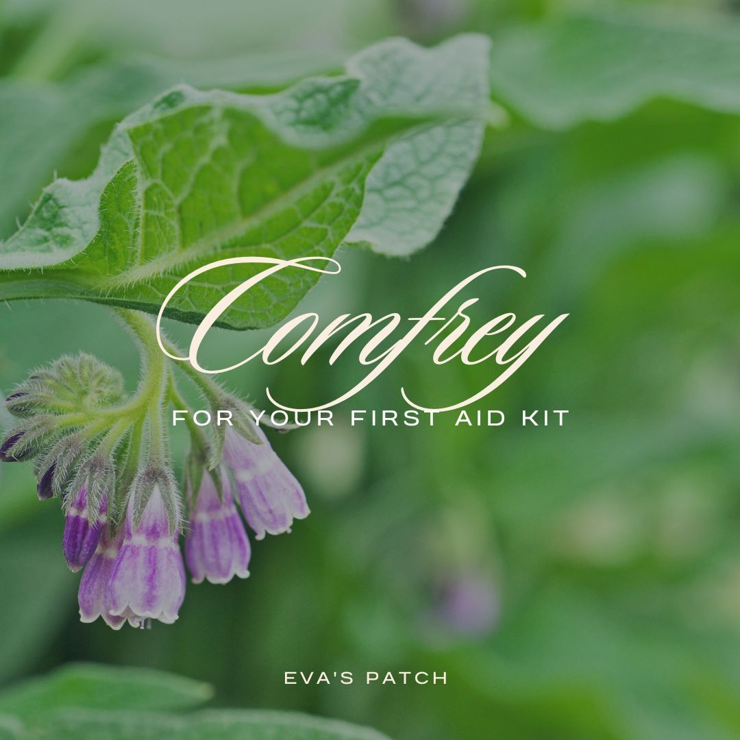 Comfrey Salve