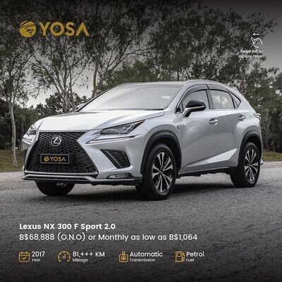 Lexus NX300 F Sport 2.0 (Auto)