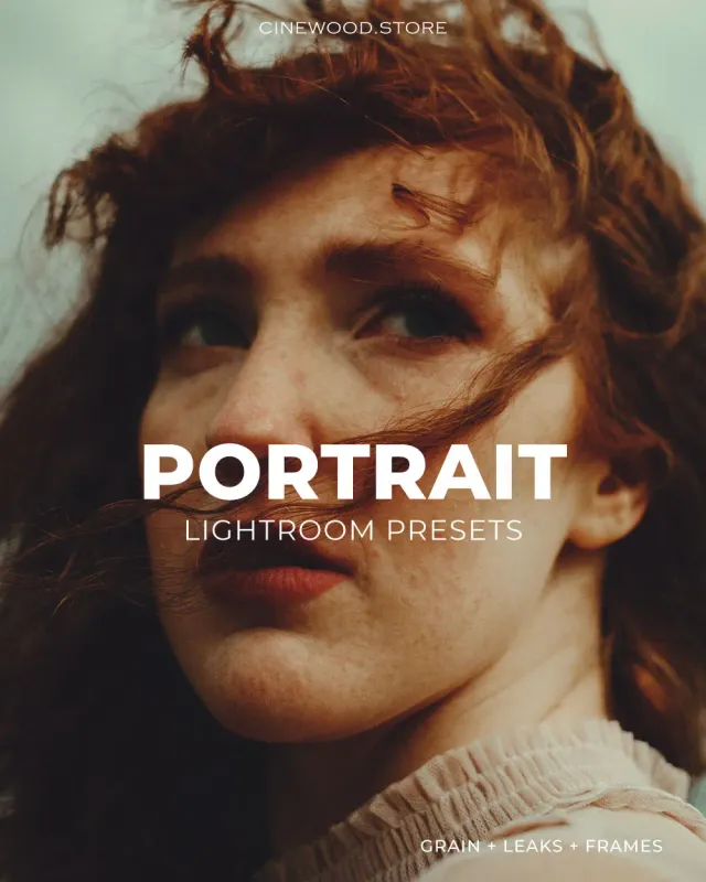 Portrait Presets